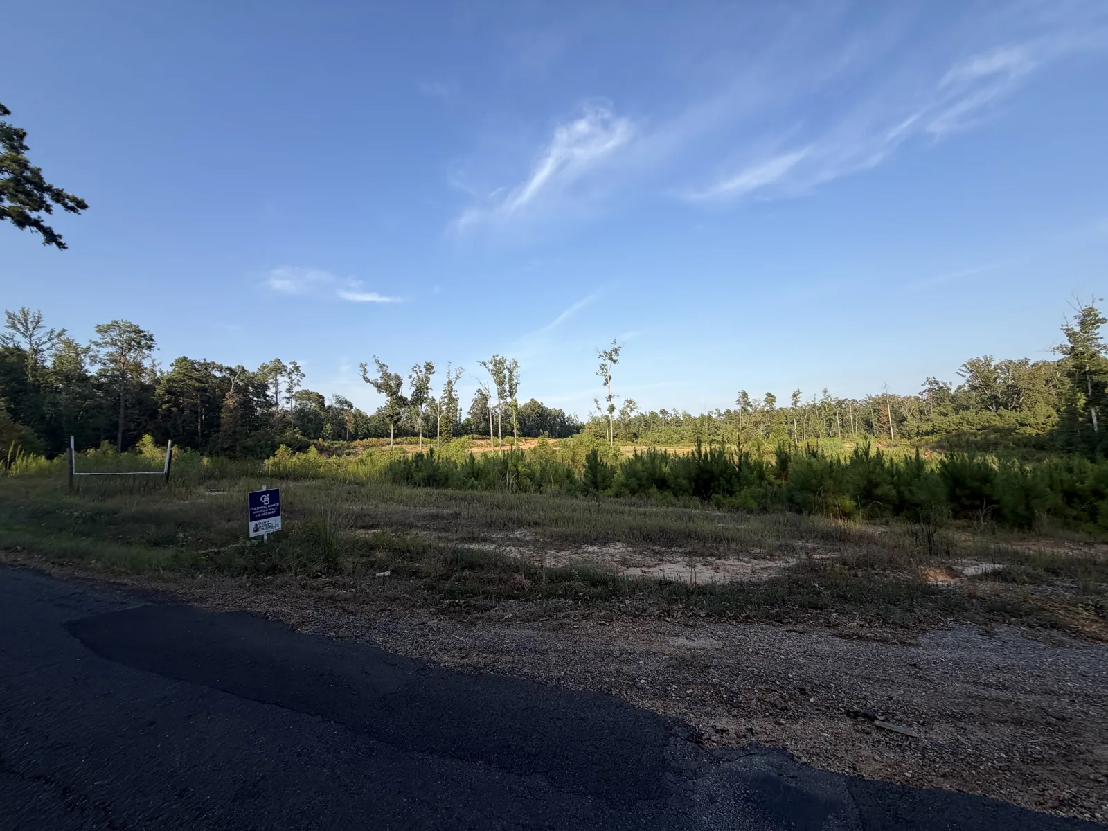 Open land and vegetation