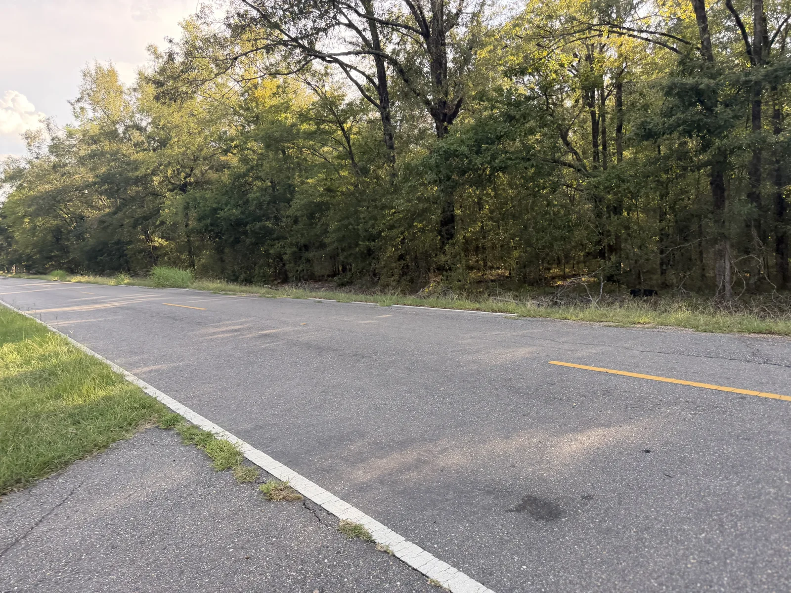 Roadside landscape and access